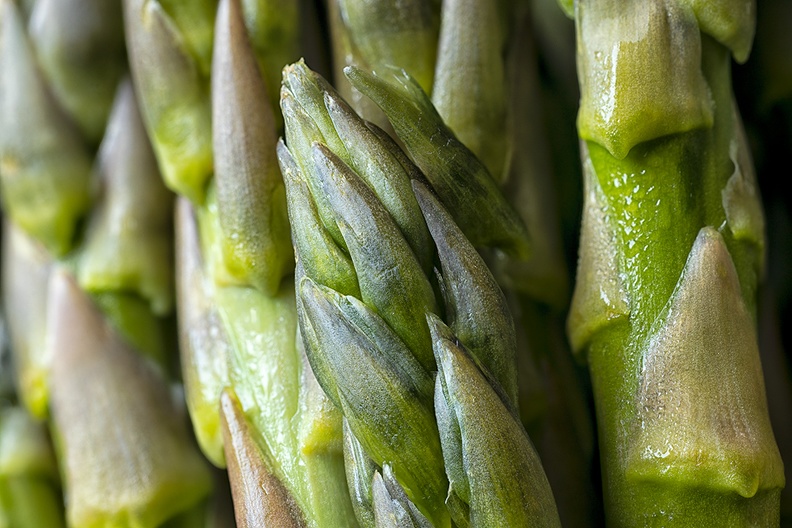 Green asparagus for tomorrow