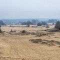 Nov 26 - Sand