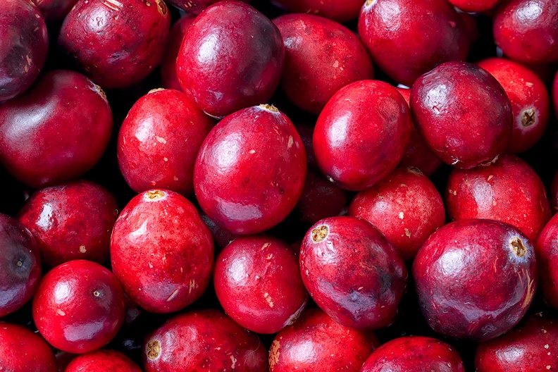Cranberries, ingredient for a sauce