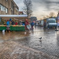 Feb 11 - A pigeon at the market