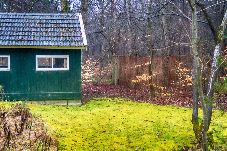 My last photo here before going home. Part of the backyard in the rain.
