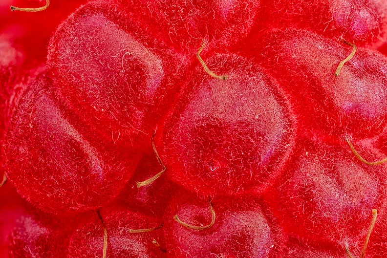 Detail of a raspberry