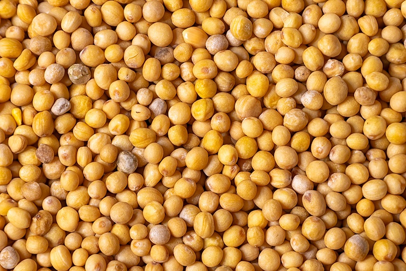 Mustard seeds. A dinner ingredient