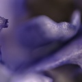 Feb 21 - Abstract in purple.jpg