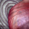 May 23 - Red onion.jpg