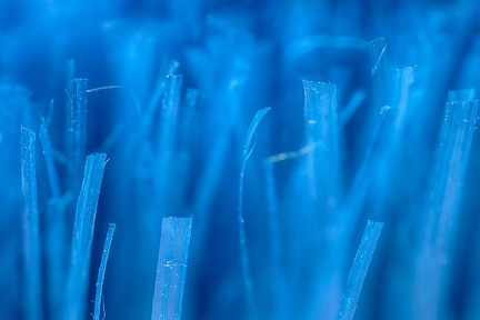 Jun 10 - Blue