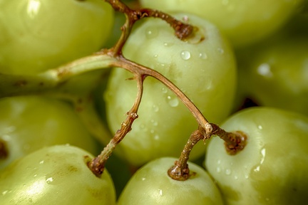Jul 05 - Grapes