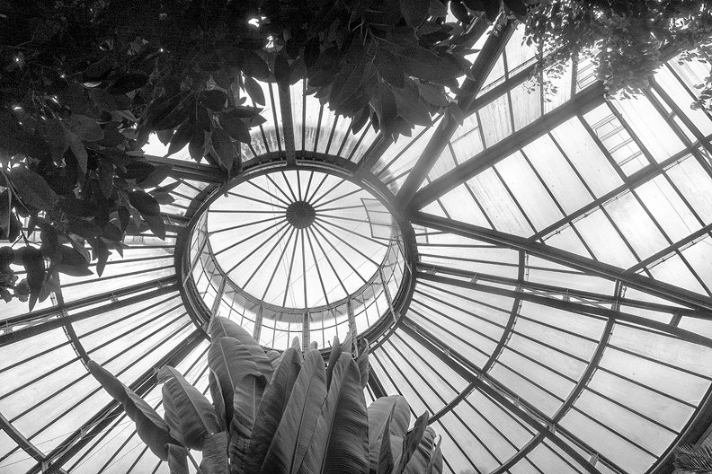 Jul 21 - Dome.jpg