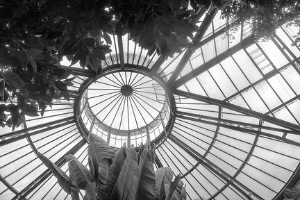 Jul 21 - Dome