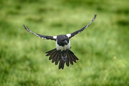Sep 04 - In flight