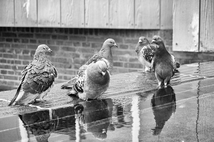 Sep 07 - Wet feet