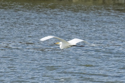 Sep 16 - In flight