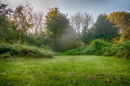 Sep 20 - Garden