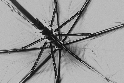 Sep 30 - Under my umbrella