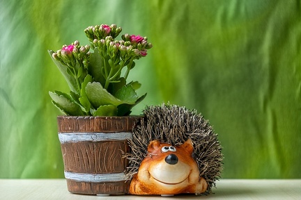 Oct 01 - Flowerpot