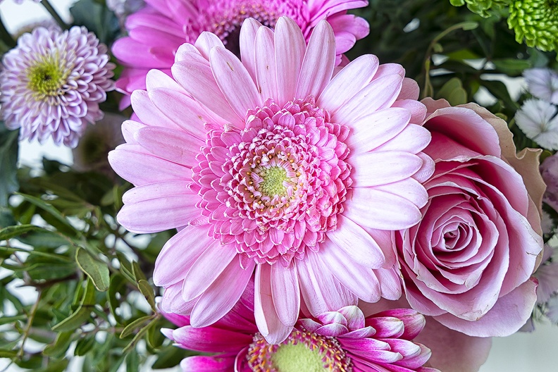 Fresh flowers in the house