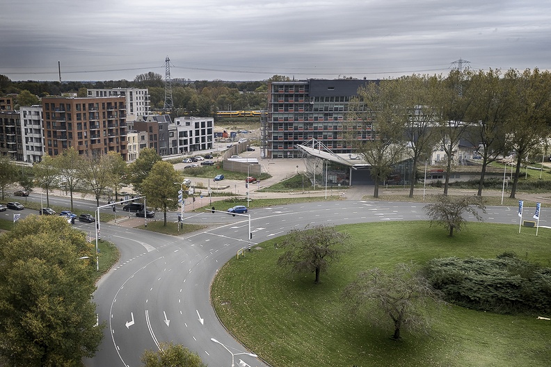 A local view on a gray day