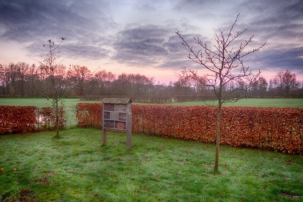 Nov 29 - Morning view