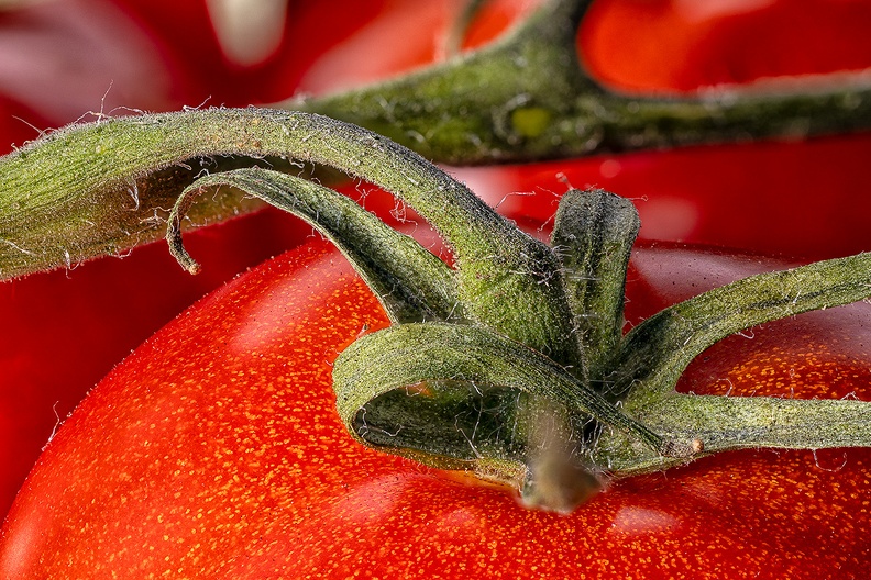 Tomatoes, always tasty in a salad
