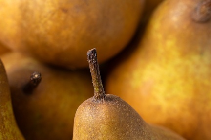 Jan 25 - Pears