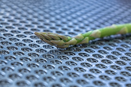 Apr 13 - A green one