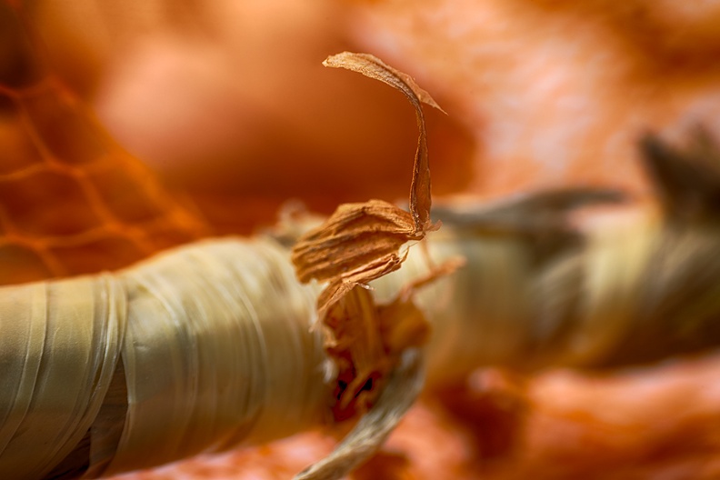 Detail of an empty onion string