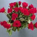 Jul 16 - Roses are red