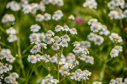 Jul 28 - In the field