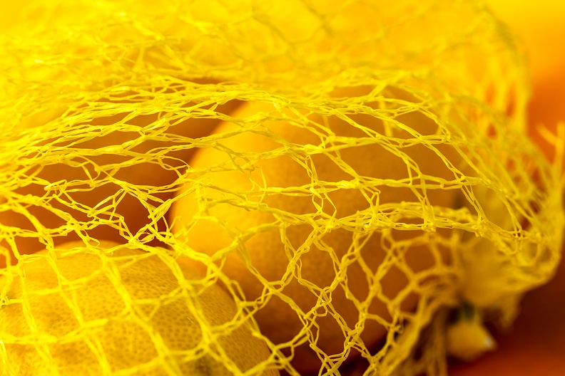 Lemons in a net