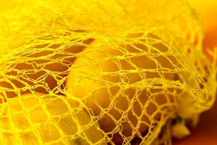 Aug 04 - Lemon yellow