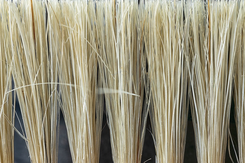 Detail of an old brush