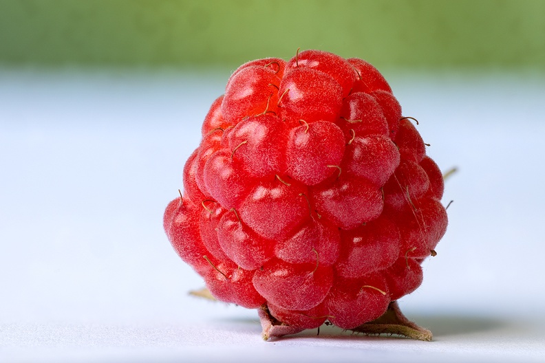 A raspberry picked from my garden