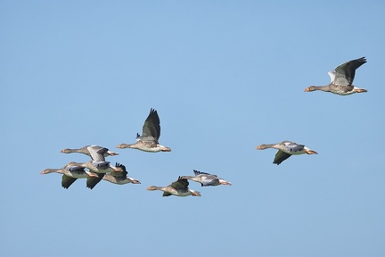 Aug 11 - In flight