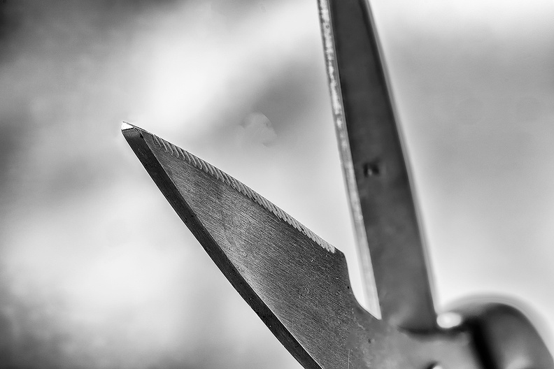 Part of my kitchen scissors
