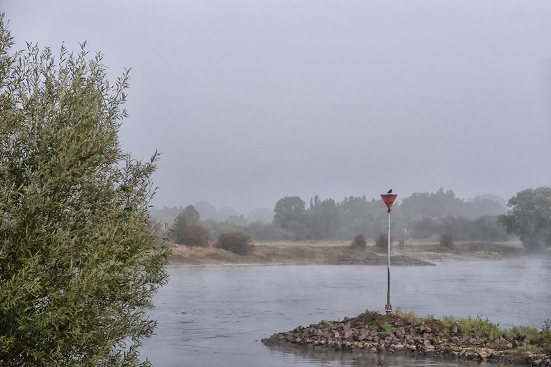 Another IJssel view on a misty morning