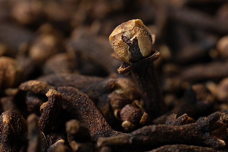 Cloves