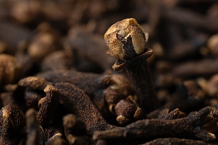 Oct 12 - Standing out