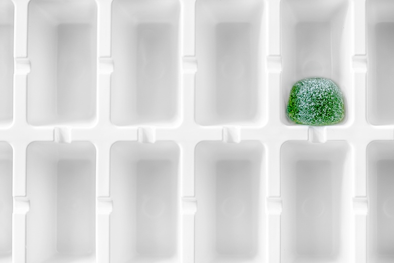 An (almost) empty ice cube tray