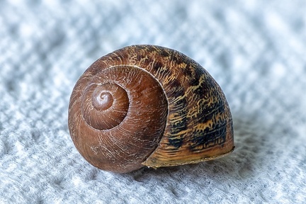 Oct 26 - Empty house