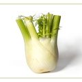 Nov 14 - Fennel
