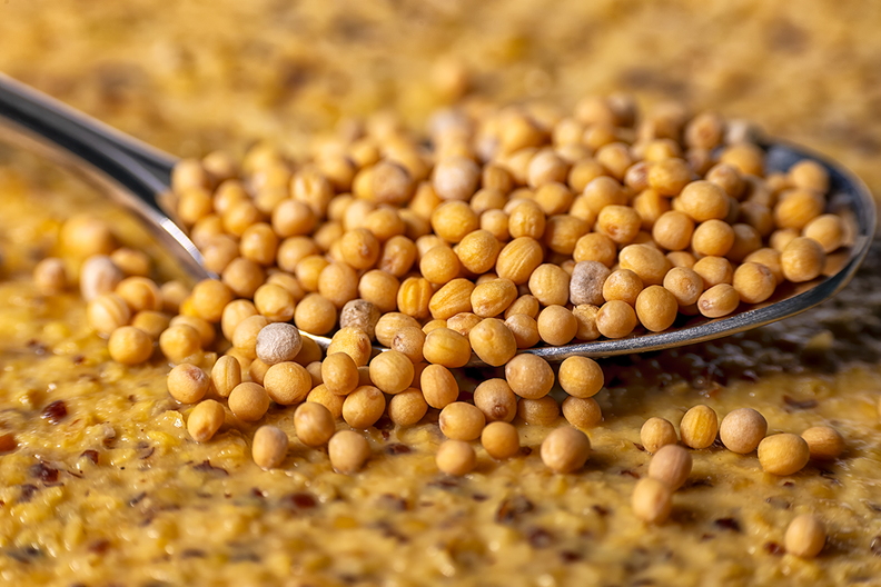 Mustard seeds on (Zaanse) mustard