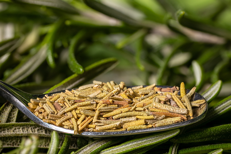 Rosemary, fresh and dried