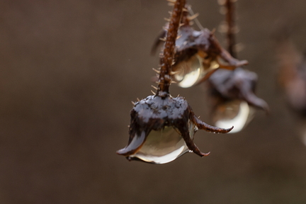 Feb 11 - In the rain