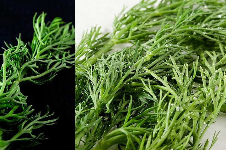 Trying to do something with dill. (tasted good in today’s dinner!)