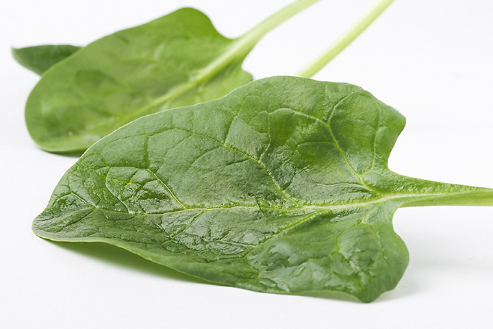 A spinach leaf before cooking.