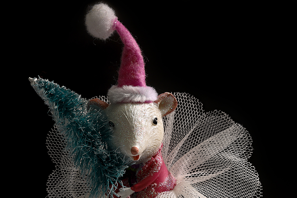 Dec 10 - Portrait of a mouse